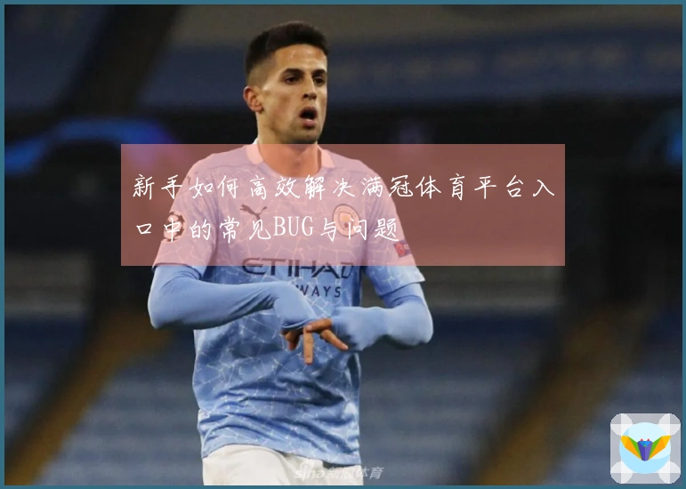 新手如何高效解决满冠体育平台入口中的常见BUG与问题